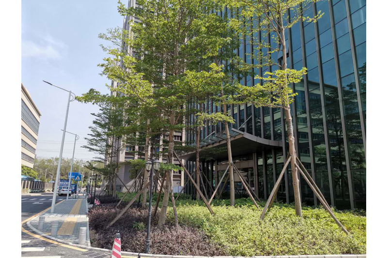 深圳龙岗现有新落成甲级研发写字楼出租，业主直租，享受政策优惠