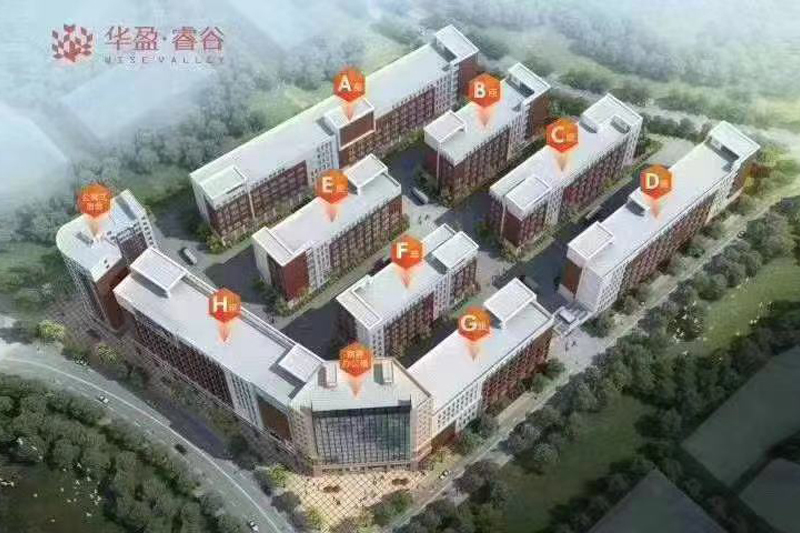 高标准厂房,首层7米8,带牛角行车,二次消防,证件齐全,医药生物健康企业首选
