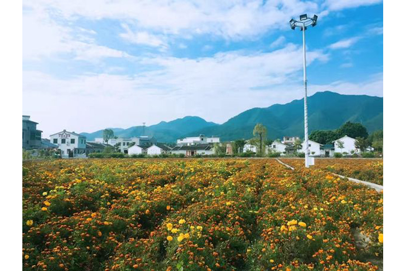 蕉岭县永盛树葡萄产业园
