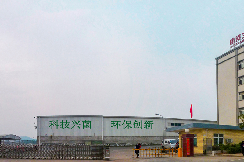 东莞星河科技产业园