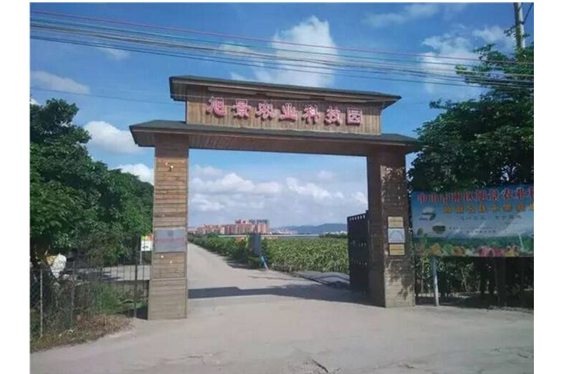 中山市南区旭景农业科技园